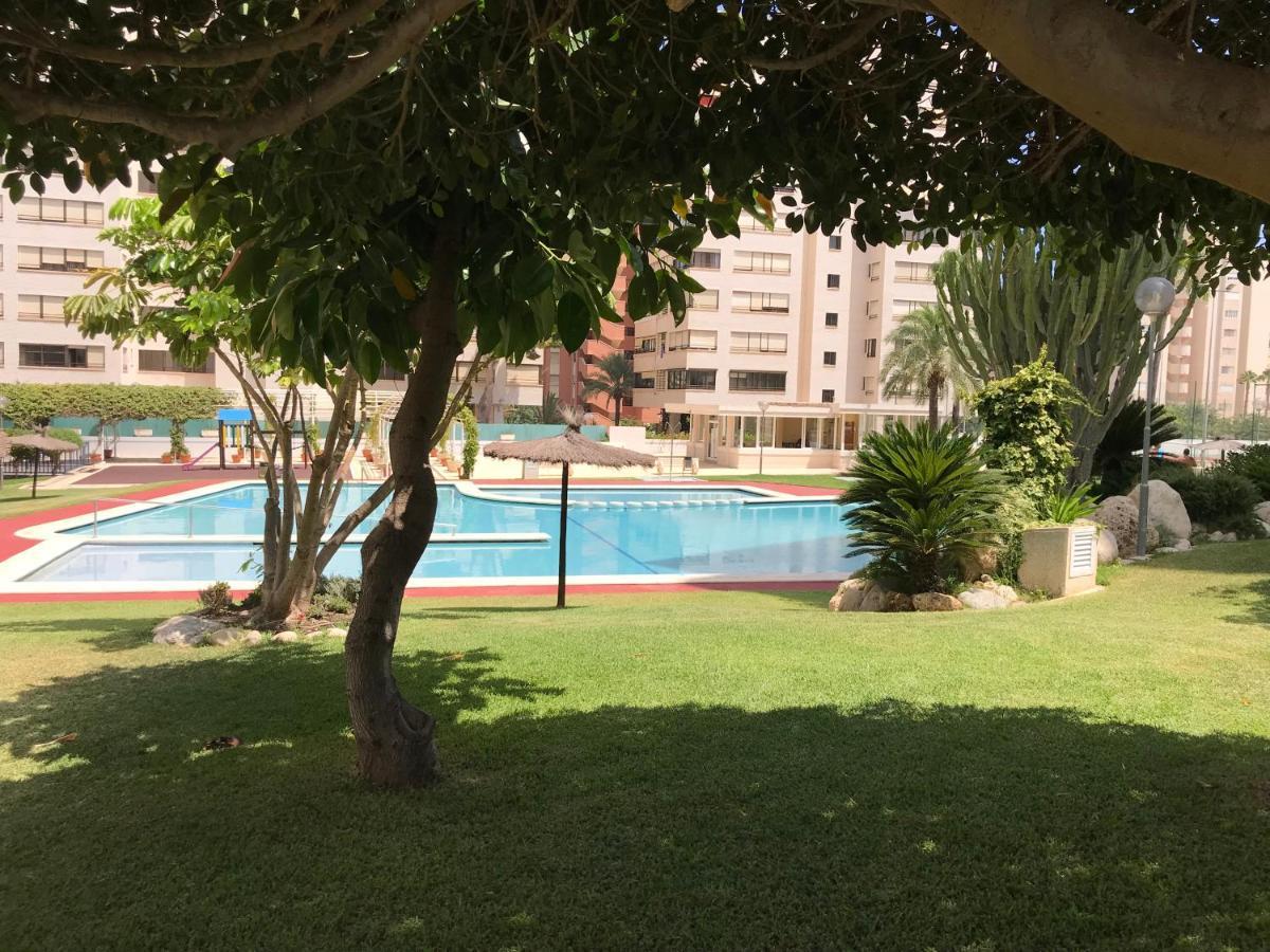 Playa Dos Avenidas Alicante Exteriör bild